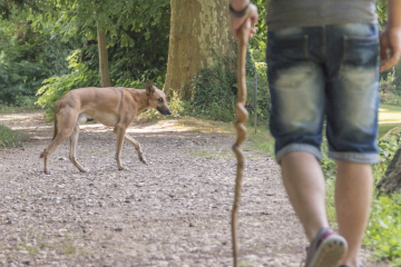 Schlechte Erfahrungen